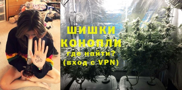 дурь Алзамай