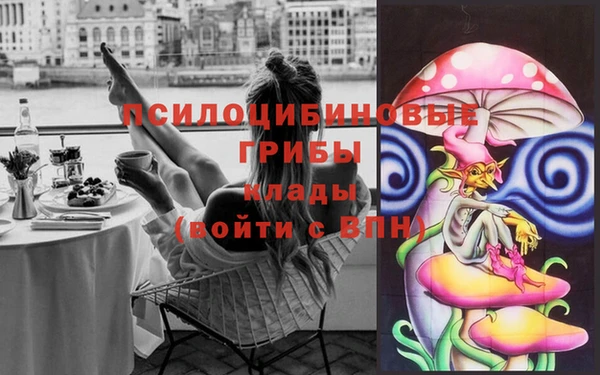 стаф Алексеевка