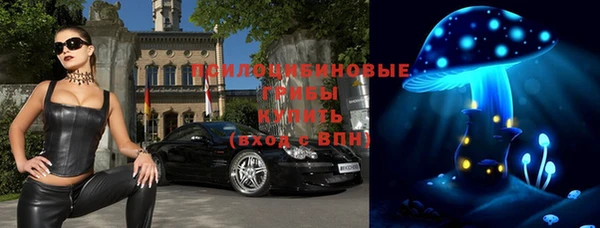 стаф Алексеевка