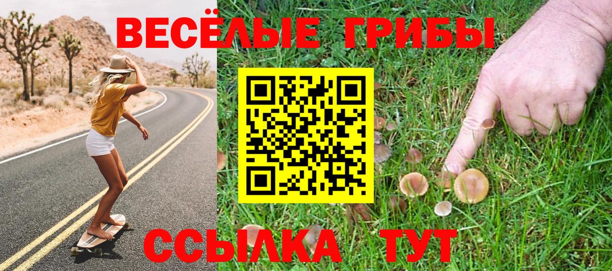 Галлюциногенные грибы Cubensis  Вход с VPN  Волгоград 